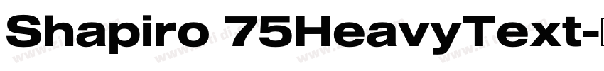 Shapiro 75HeavyText字体转换